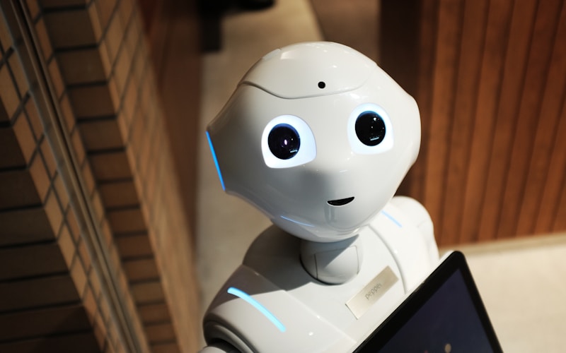 Machine Learning Demystified for Business Leaders